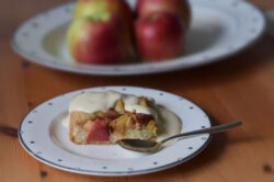 Äppelkaka appelkaka