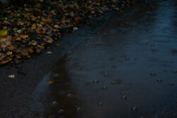 Höstregn höstlöv i vatten