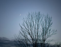 Nymåne på kvällshimmel nymåne på kvällshimmel