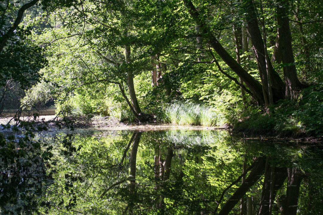 Motala ström motala ström