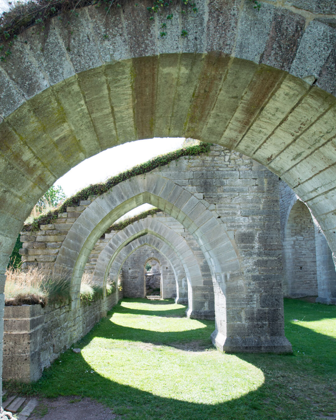 Alvastra klosterruin valv alvastra klosterruin
